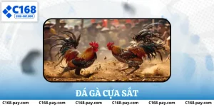 Đá gà cựa sắt